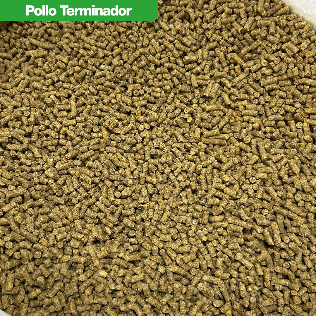 Pollo Terminador GOLD 40 kg - Imagen 3