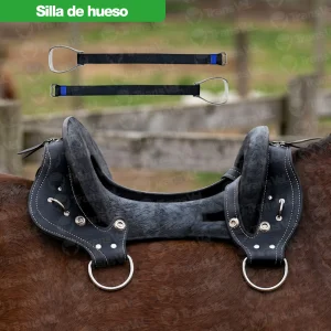 Silla de Hueso