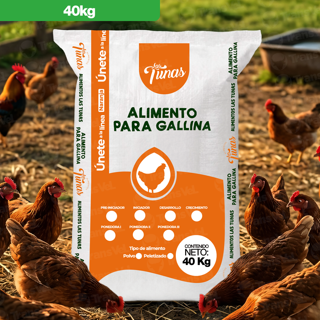 Gallina Crecimiento