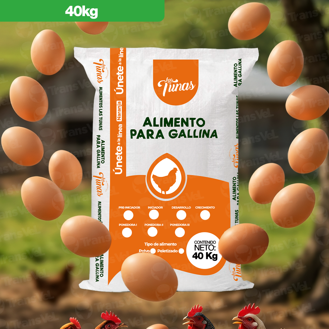 Gallina Ponedora Tipo 2